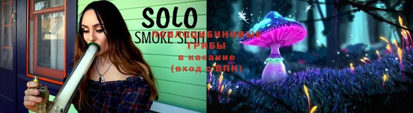 прущий лед Алзамай