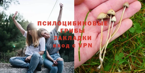 твердый Алексин