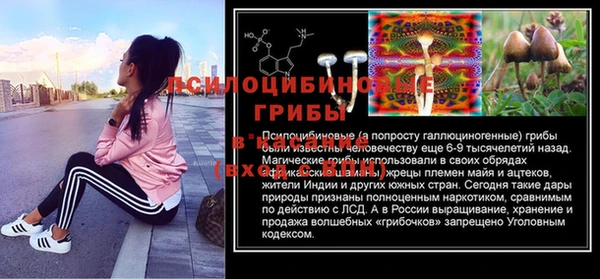 прущий лед Алзамай