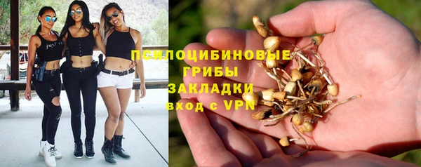 твердый Алексин