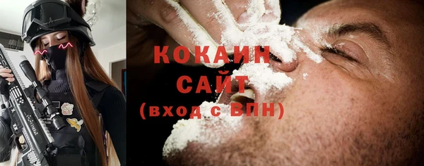шишки Арсеньев